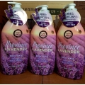 Sữa tắm Happybath Lavender oải hương 